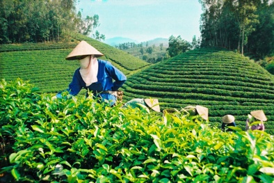 Hàng Việt Nam chất lượng nhưng vẫn bị ‘bỏ rơi’ vì thiếu thương hiệu?