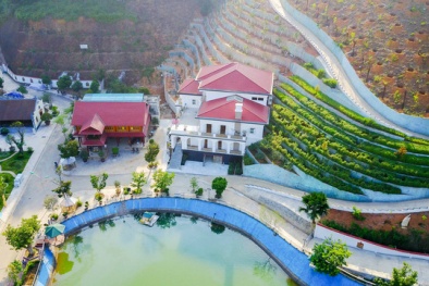 Thanh tra Chính phủ vào cuộc làm rõ tài sản của giám đốc ở Sở Yên Bái