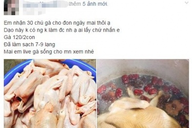 Xuất hiện gà ri mổ sẵn 60.000 đồng/con: Sự thật bất ngờ về nguồn gốc