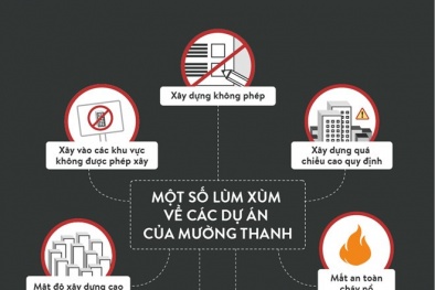 Các dự án tập đoàn Mường Thanh bị khởi tố: Ông Lê Thanh Thản nói gì?