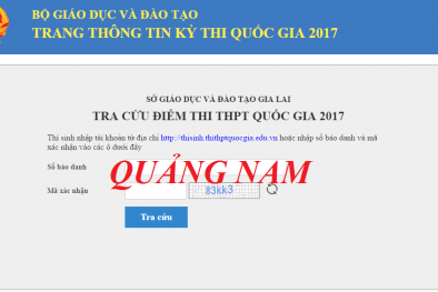 Tra cứu điểm thi THPT Quốc gia 2017 tỉnh Quảng Nam nhanh nhất