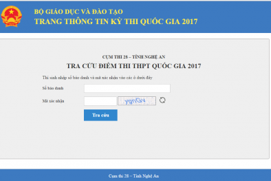 Link tra cứu điểm thi THPT quốc gia 2017 tỉnh Nghệ An nhanh và chính xác
