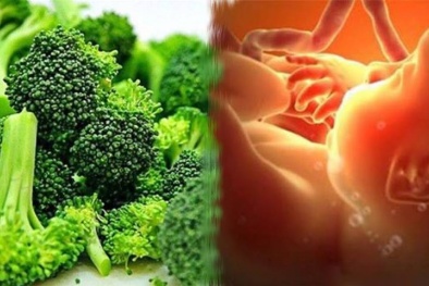 Mẹ bầu 3 tháng đầu phải nhớ những điều này nếu không muốn hại con