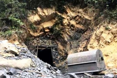 Quảng Ninh: Ngăn chặn khai thác than trái phép tại khu vực rừng Yên Tử