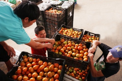 Không đáp ứng quy định của Mỹ, nông sản Việt bị trả về hàng loạt