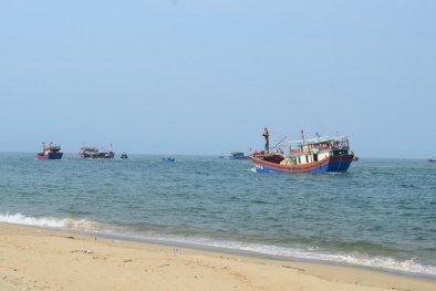 Công bố hiện trạng môi trường biển 4 tỉnh miền Trung: Ổn định, có thể nuôi trồng thủy sản