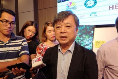 'Đà Nẵng phải có trách nhiệm trực tiếp trong vấn đề bảo tồn Sơn Trà'