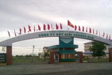 Rao bán nhà máy bột giấy Phương Nam đặt tại tỉnh Long An