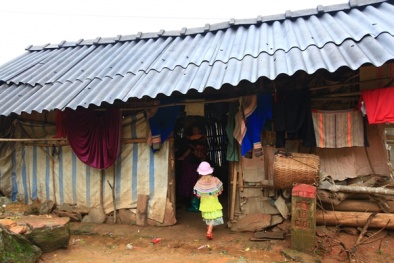 Ngưng sử dụng amiăng độc hại: Cần thiết nhưng không dễ thực hiện 