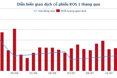 Chia tách cổ phiếu, tại sao ROS vẫn không ngừng tăng?