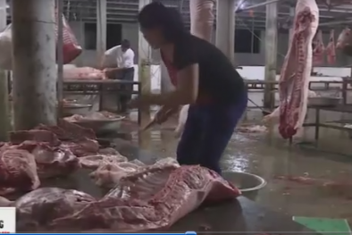 Bên trong lò giết mổ treo tại Hà Tĩnh khiến nhiều người bất ngờ