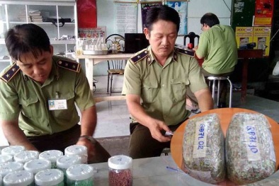 Chất lượng phân bón: Kiểm đâu sai đó!