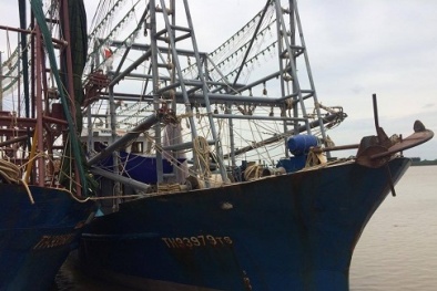 Thanh Hóa đẩy mạnh kiểm tra chất lượng tàu cá đóng theo Nghị định 67