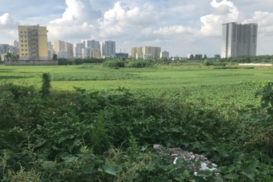 Bệnh viện công quá tải trong khi nhiều dự án bệnh viện ‘nghìn tỷ’ trên giấy chiếm đất vàng