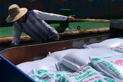 Kiểm tra 5 tàu, bắt giữ gần 1000 tấn phân bón không rõ nguồn gốc