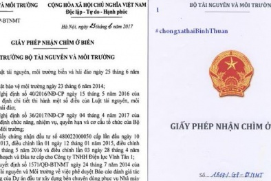 Vụ nhận chìm bùn thải xuống biển: Giấy phép trái pháp luật, cần thu hồi?