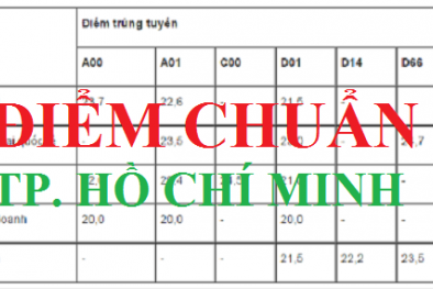 Cập nhật điểm chuẩn các trường đại học ở TP. Hồ Chí Minh