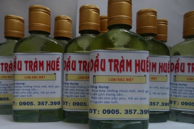Công bố quy chuẩn về tinh dầu tràm Huế