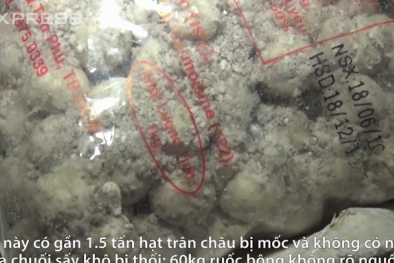 Hơn 2 tấn trân châu, cánh gà thối chuẩn bị vào quán ăn