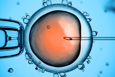 Hot: Lần đầu tiên, các nhà khoa học chỉnh sửa thành công gen trong phôi thai