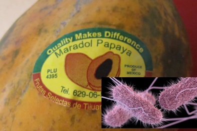 Dịch salmonella bùng phát: 64 ca nhiễm bệnh