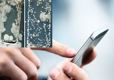 Ổ vi khuẩn bám 'chằng chịt' trên điện thoại di động, đe dọa sức khỏe người dùng
