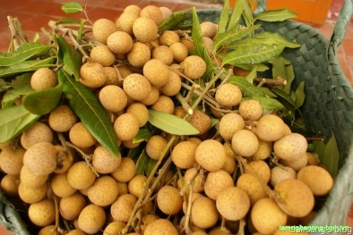 Bóc mẽ nhãn lồng Hưng Yên 'giả' tràn lan khắp Hà Nội