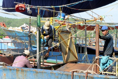 Vụ tàu vỏ thép hư hỏng: 25 chủ tàu nợ quá hạn ngân hàng gần 13 tỷ đồng