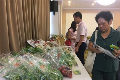 Hà Nội: Tăng cường kết nối cung cầu tiêu thụ rau an toàn