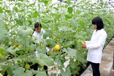 Thí sinh nhập học trường Học viện Nông nghiệp cần biết: Tiền học phí, giá nội trú