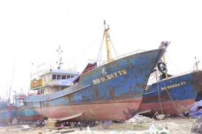 Vụ tàu vỏ thép hư hỏng: Doanh nghiệp đòi kiện Bộ NN-PTNT và chủ tàu