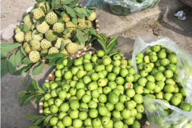 Hà Nội tăng kiểm soát chất lượng trái cây vỉa hè, người kinh doanh lo 'mất làm ăn' 