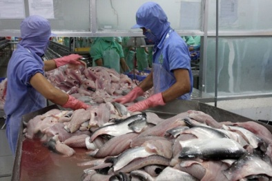 Hơn 1.000 doanh nghiệp mất cơ hội xuất khẩu vào Mỹ, 'giải cứu' bằng cách nào?