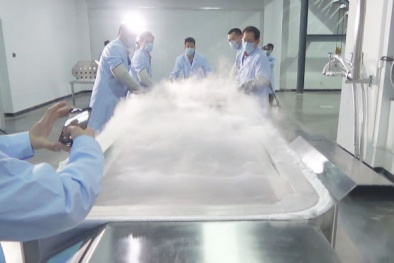 Xác người phụ nữ Trung Quốc đông lạnh chờ hồi sinh được xử lý thế nào?