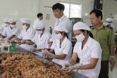 Hồ sơ xin cấp giấy chứng nhận đủ điều kiện sản xuất thực phẩm gồm những gì?