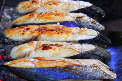 Nghệ An: Đề xuất truy xuất nguồn gốc đặc sản cá thu bằng dán tem điện tử