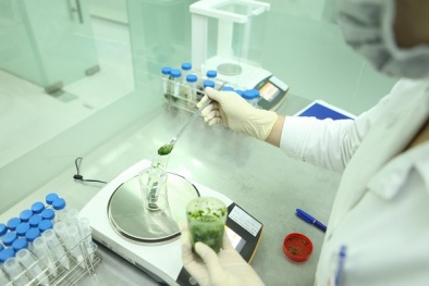 Không kiểm nghiệm thực phẩm định kỳ sẽ bị xử lý thế nào?