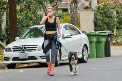 Từ ngày 15/9, dắt chó ra đường không rọ mõm có thể bị phạt tới 800.000đ