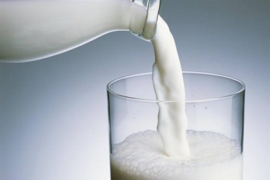 Một phụ nữ mắc bệnh brucellosis do uống sữa nguyên chất