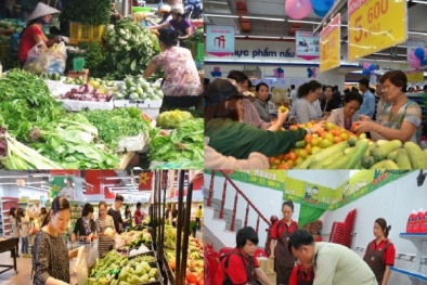 Giá cả thị trường hôm nay (19/9): Thịt lợn hơi, cà phê tăng giá nhẹ