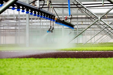 Khởi nghiệp trong nông nghiệp: Công nghệ là chìa khóa thành công 