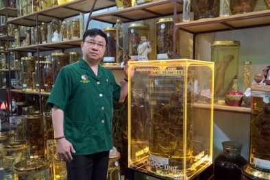 Củ sâm Ngọc Linh lớn nhất thế giới tại Việt Nam, đại gia Hàn trả tiền tỷ không bán