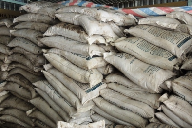 Bán phân bón phải có bằng cấp, người quản lý có trình độ đại học trở lên