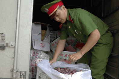 Bắt giữ 60 thùng hoa quả nhập lậu, 535 kg thực phẩm đông lạnh không rõ nguồn gốc