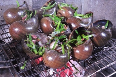 Cảnh báo viêm màng não vì ăn ốc bươu vàng chưa chín