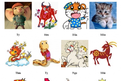 Tử vi hôm nay thứ ba ngày 26/9/017 của 12 con giáp