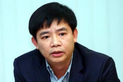 Kế toán trưởng Tập đoàn dầu khí Việt Nam bị bắt là ai?