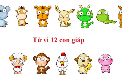 Tử vi hôm nay thứ năm ngày 28/9/2017 của 12 con giáp
