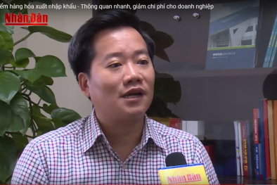 Hậu kiểm hàng hóa xuất nhập khẩu: Thông quan nhanh, giảm chi phí cho doanh nghiệp