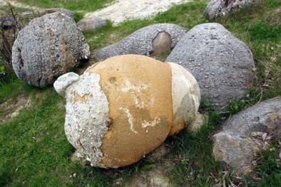 Những hòn đá biết ‘đẻ con’ khiến giới khoa học 'đau đầu'